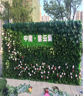 中南紫云集绿植墙
